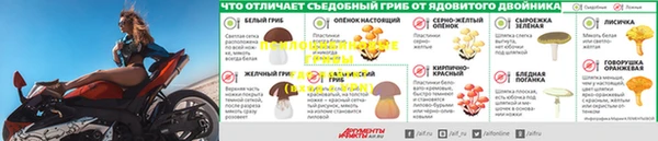 прущая мука Наволоки