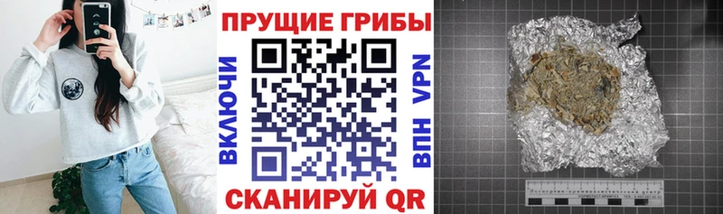 Псилоцибиновые грибы GOLDEN TEACHER blacksprut онион Островной
